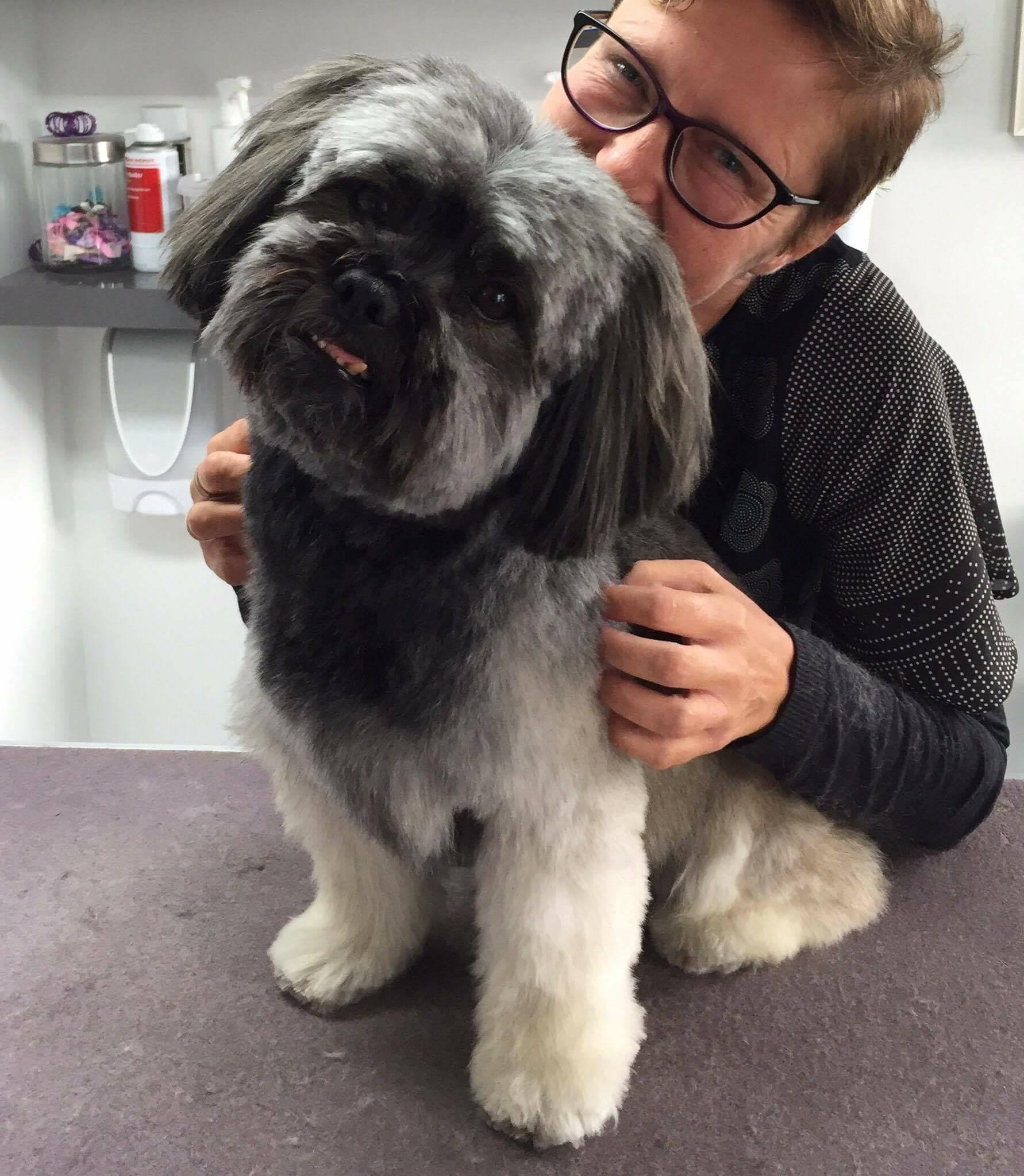 Mermaid Cut'n Care hund salon